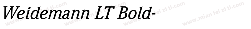 Weidemann LT Bold字体转换